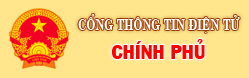 Chính phủ