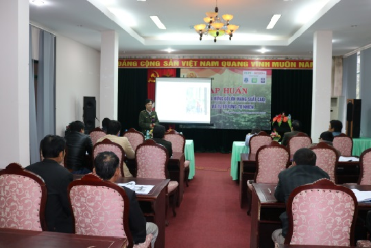 Tập huấn kỹ thuật trồng rừng gỗ lớn năng suất cao, phục hồi và tu bổ rừng tự nhiên